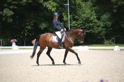 Turnier_03